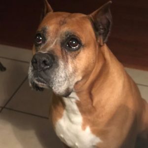 Meet your Posher, Miles